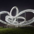 Tiger and Turtle IV