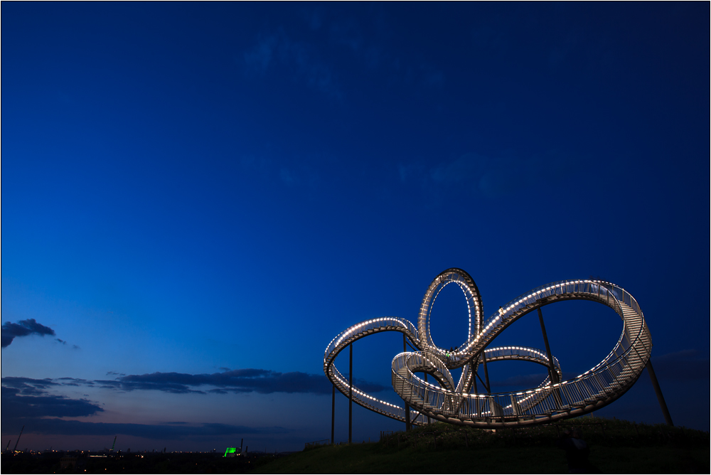 tiger and turtle IV