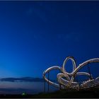 tiger and turtle IV