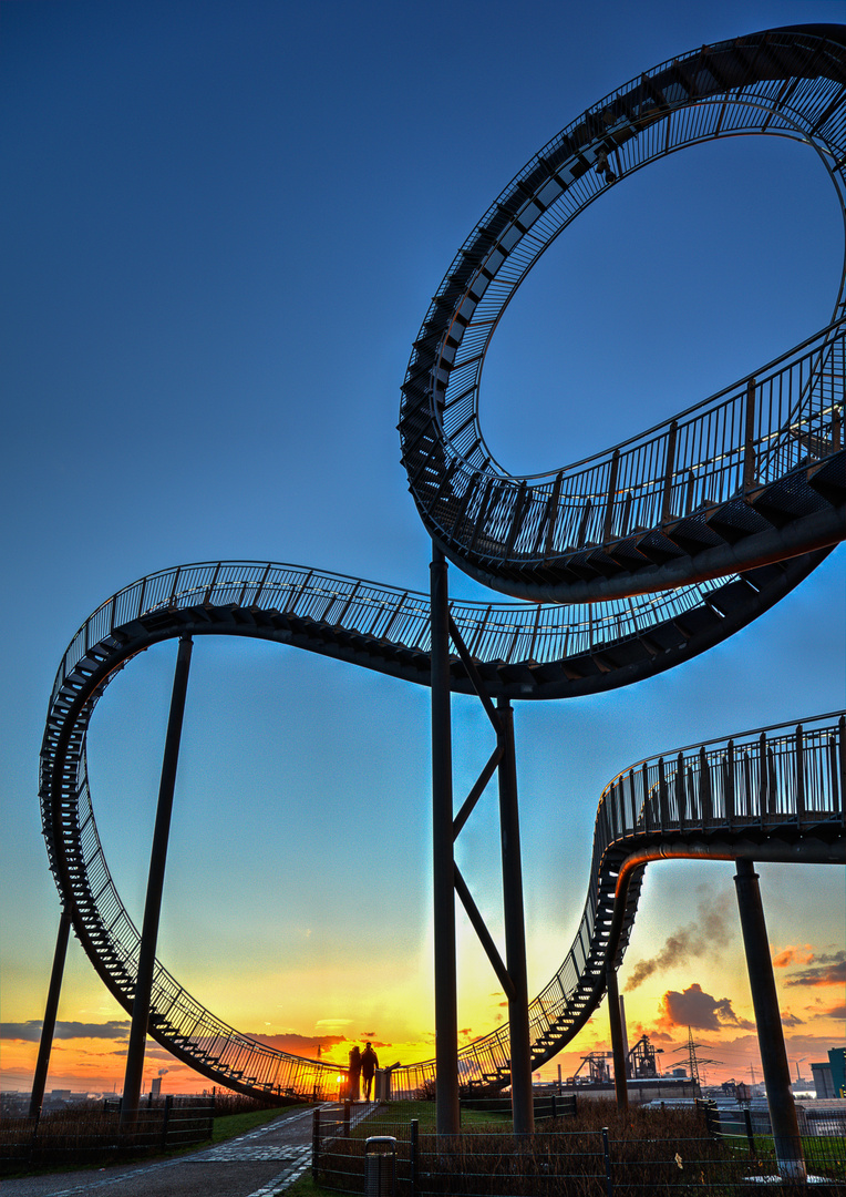 Tiger and turtle IV