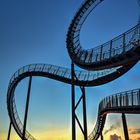 Tiger and turtle IV