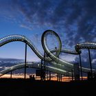 Tiger and Turtle Landmarke …