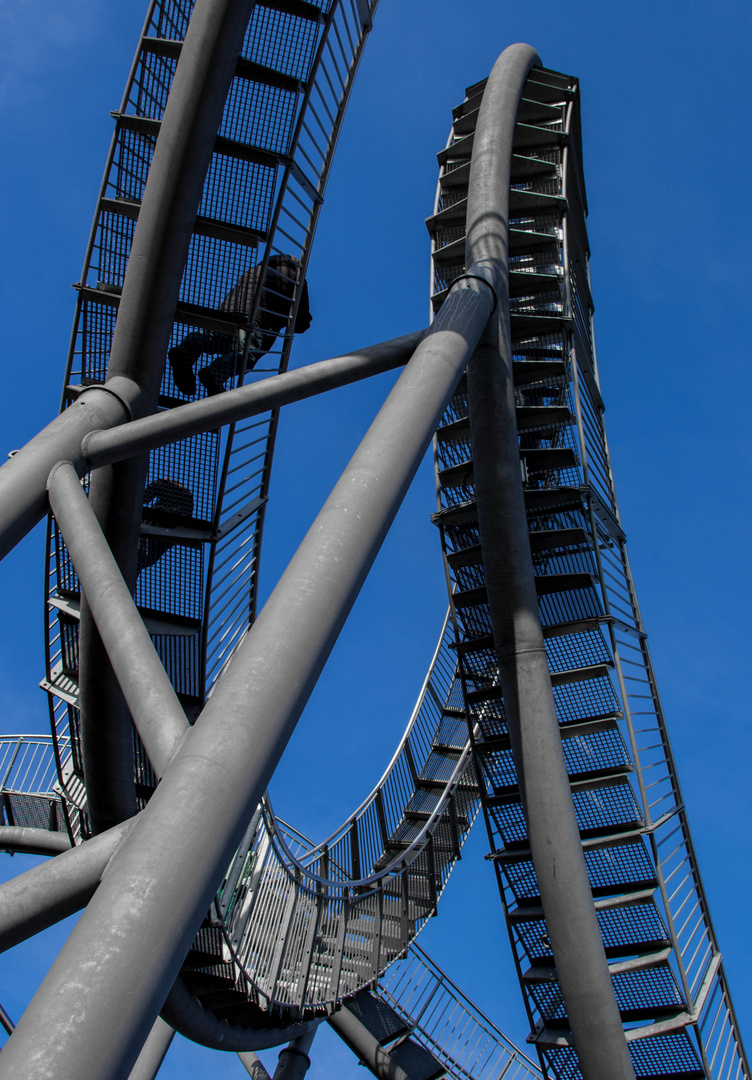 TIger and Turtle Looping