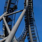 TIger and Turtle Looping