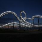 Tiger and Turtle – Magic Mountain 2012