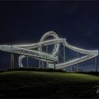   Tiger and Turtle – Magic Mountain .....