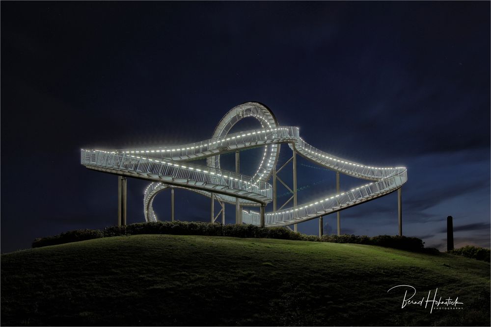   Tiger and Turtle – Magic Mountain .....