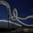  Tiger and Turtle – Magic Mountain .....