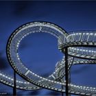 Tiger and Turtle – Magic Mountain .....