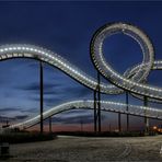 Tiger and Turtle – Magic Mountain .....