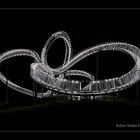 Tiger and Turtle – Magic Mountain