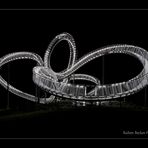 Tiger and Turtle – Magic Mountain