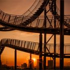 Tiger and Turtle – Magic Mountain .....