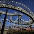   Tiger and Turtle – Magic Mountain .....