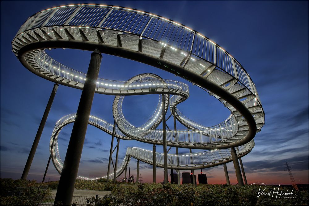   Tiger and Turtle – Magic Mountain .....