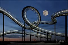 Tiger and Turtle – Magic Mountain 