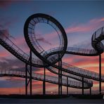 Tiger and Turtle – Magic Mountain .....