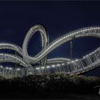 Tiger and Turtle – Magic Mountain .....