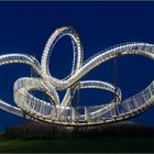 Tiger and Turtle – Magic Mountain