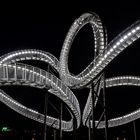 Tiger and Turtle - Magic Mountain II