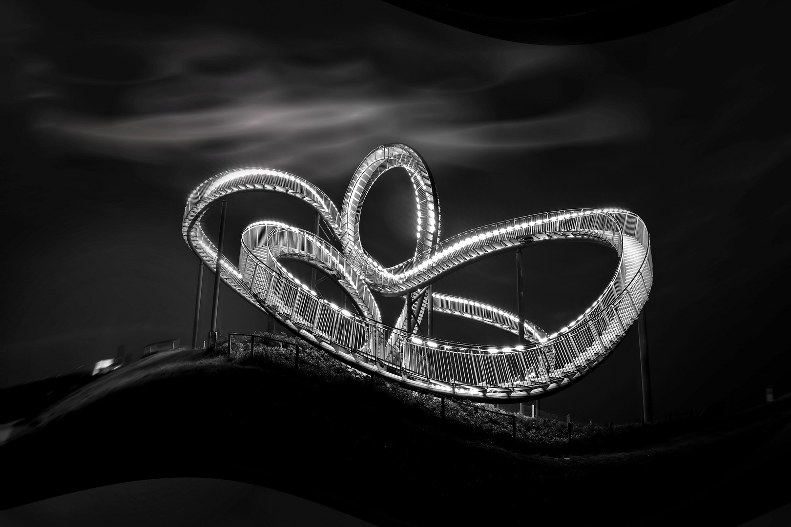 Tiger and Turtle - monochrome