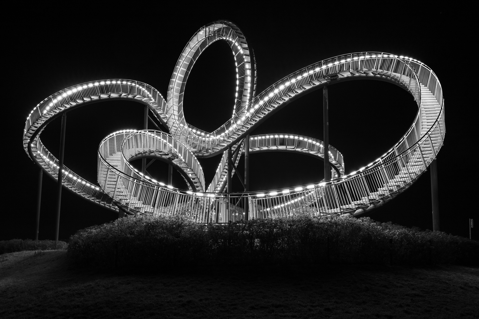 Tiger and Turtle SW