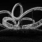 Tiger and Turtle SW