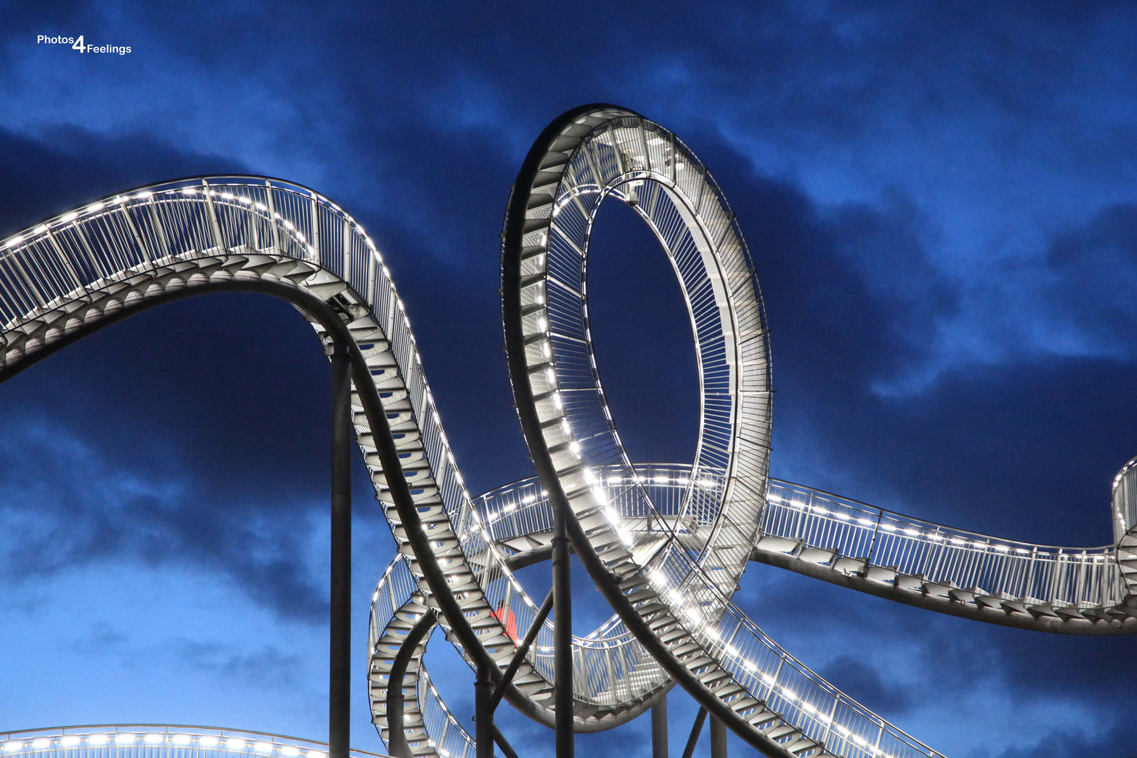 Tiger and Turtle1