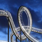 Tiger and Turtle1