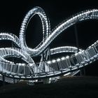 Tiger and Turtle...and another nother Point of view