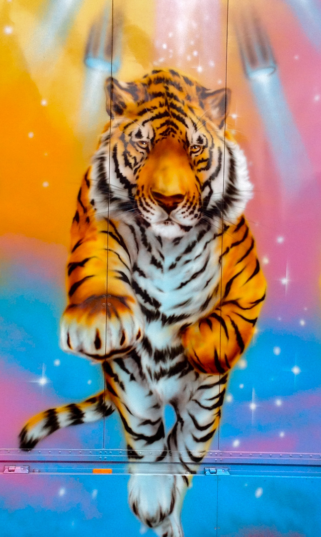 Tiger