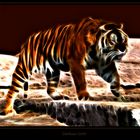Tiger effect