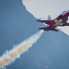 Tiger F-5 der Patrouille Suisse