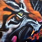 Tiger-Fassade