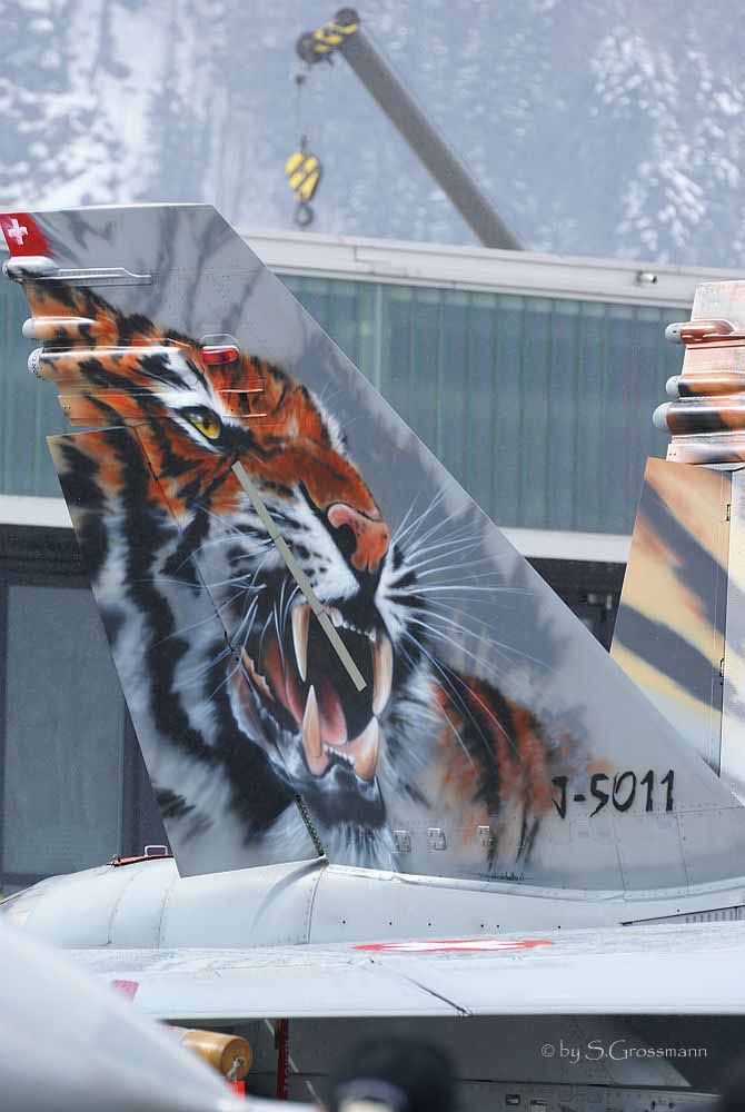 "Tiger" Hornet Airbrush "Meiringen 07"