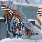 "Tiger" Hornet Airbrush "Meiringen 07"