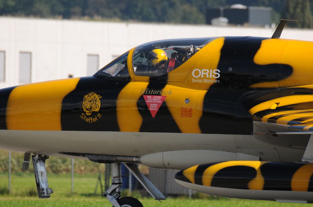 Tiger Hunter in Emmen für AIR14