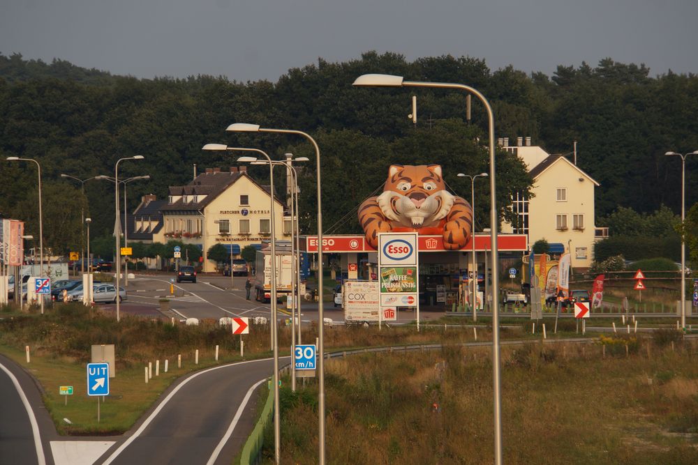 Tiger im Tank