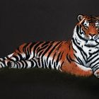 Tiger in Pastell