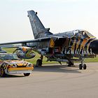 Tiger-Jet and Tiger-"de Lorean"