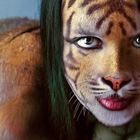 Tiger Linda - cs6 Edtion - ein forever fav.