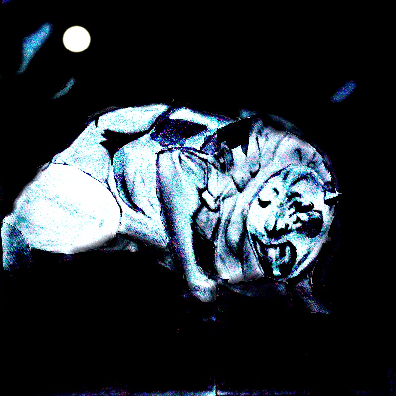 TIGER MOON LIGHT