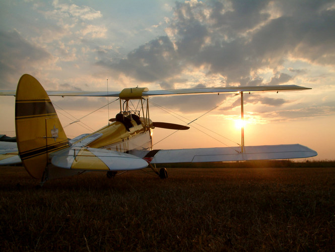 "Tiger Moth"