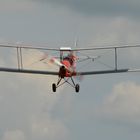 Tiger Moth