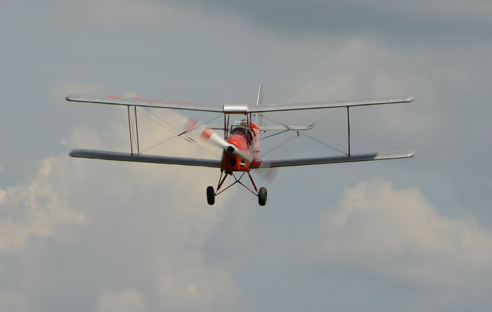 Tiger Moth