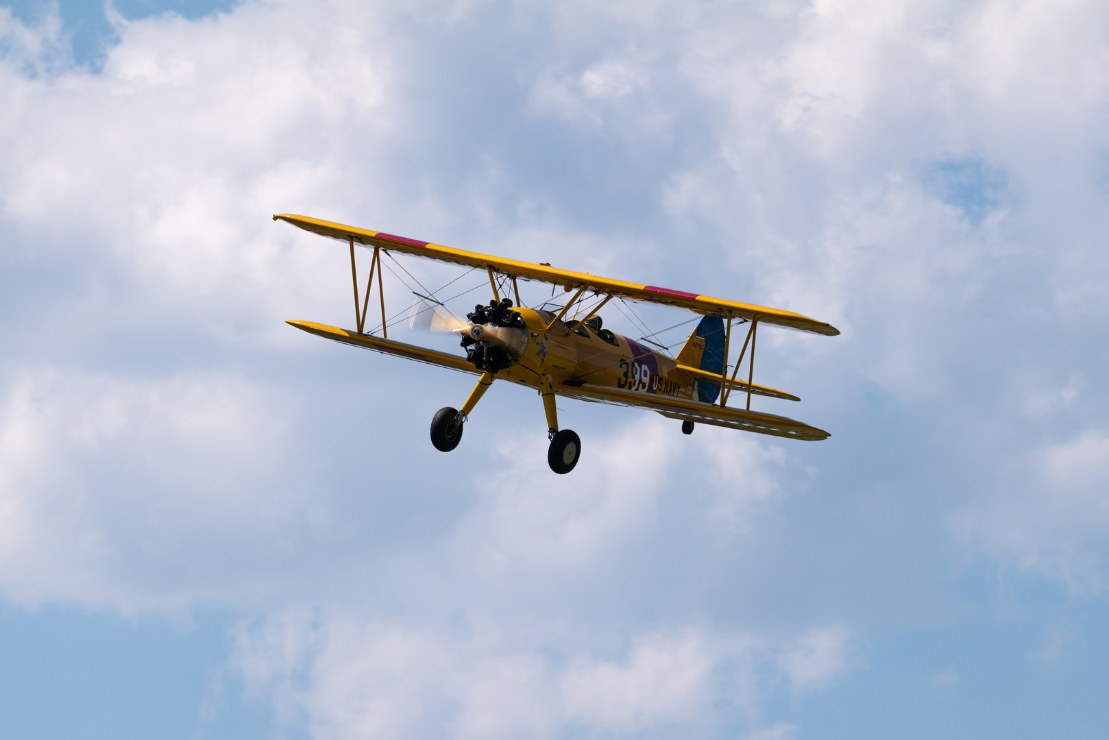 Tiger Moth