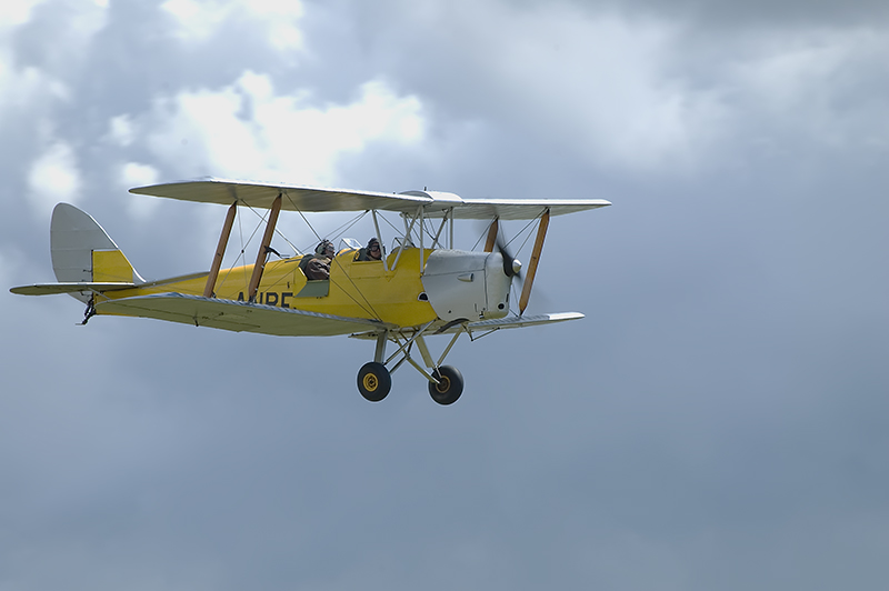 Tiger Moth