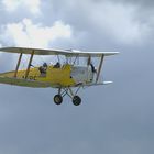 Tiger Moth