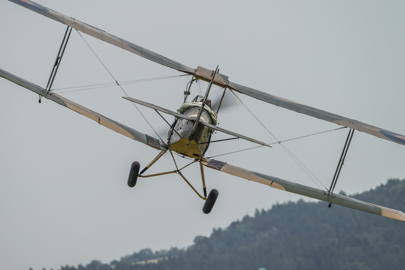 Tiger Moth auf Punkt 12 Uhr