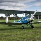 Tiger Moth blau